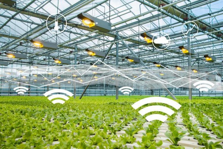 Smart Greenhouse Market