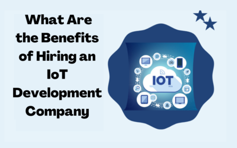 IoT development company