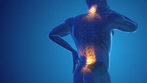  Details About Backache With Treatment