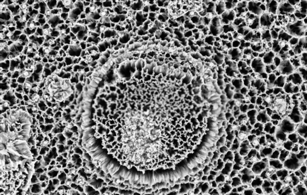 Nitrogen-doped Graphene