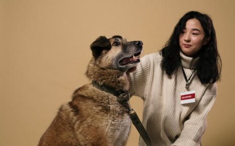 dog training encinitas ca