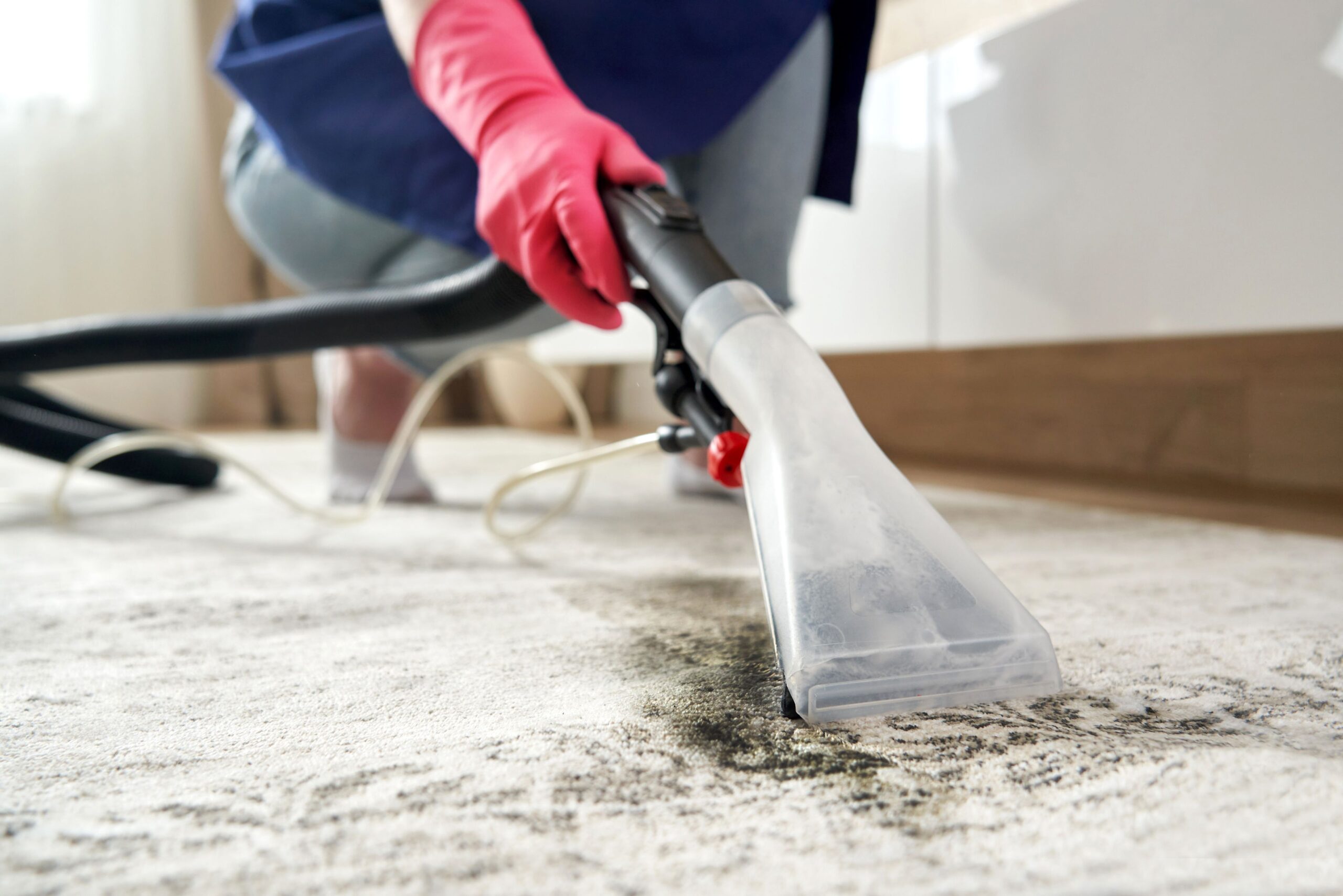 A Comprehensive Guide to Profеssional Carpet Cleaning Sеrvicеs