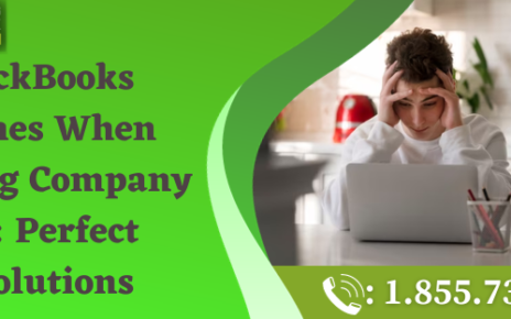 QuickBooks Crashes When Opening Company File