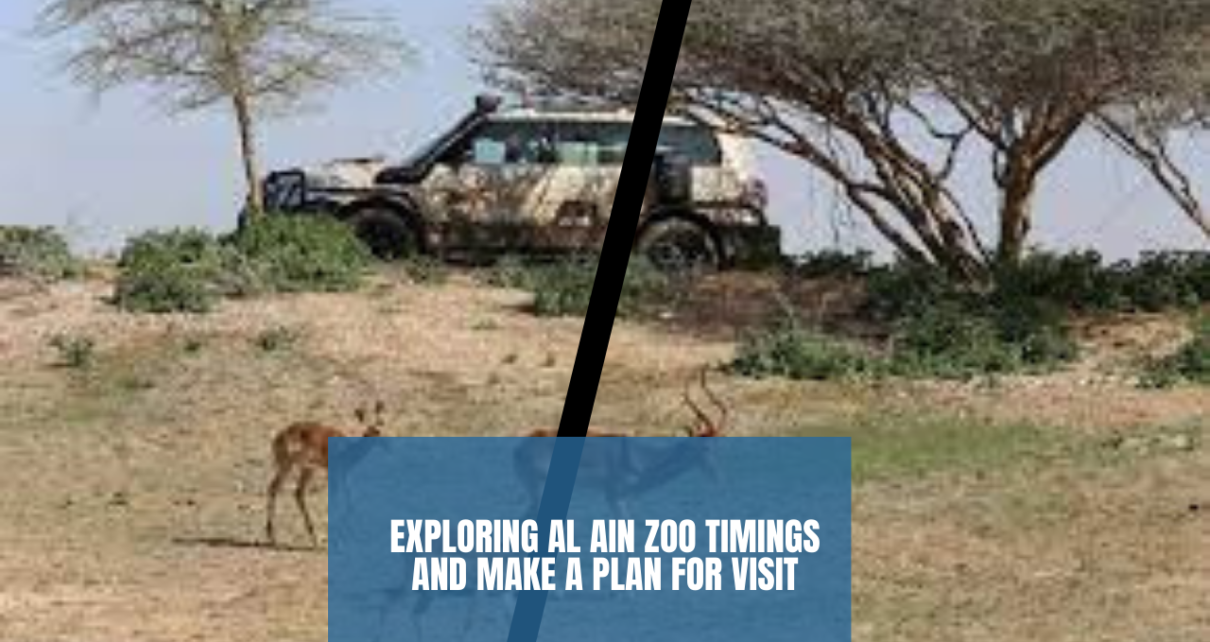 al ain zoo timings