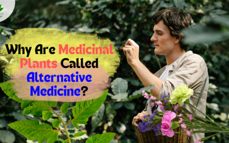 Why Are Medicinal Plants Called Alternative Medicine