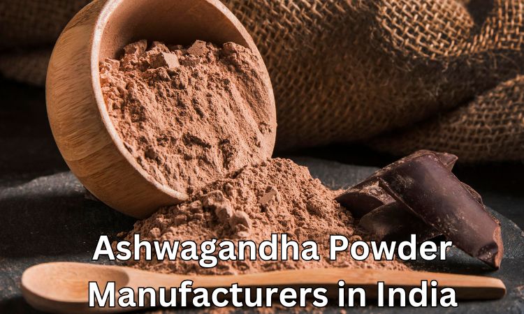 ashwagandha powder manufacturers in India