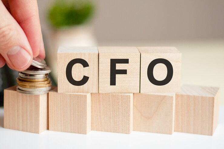 CFO Services in India