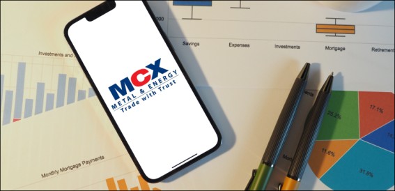 MCX Holidays