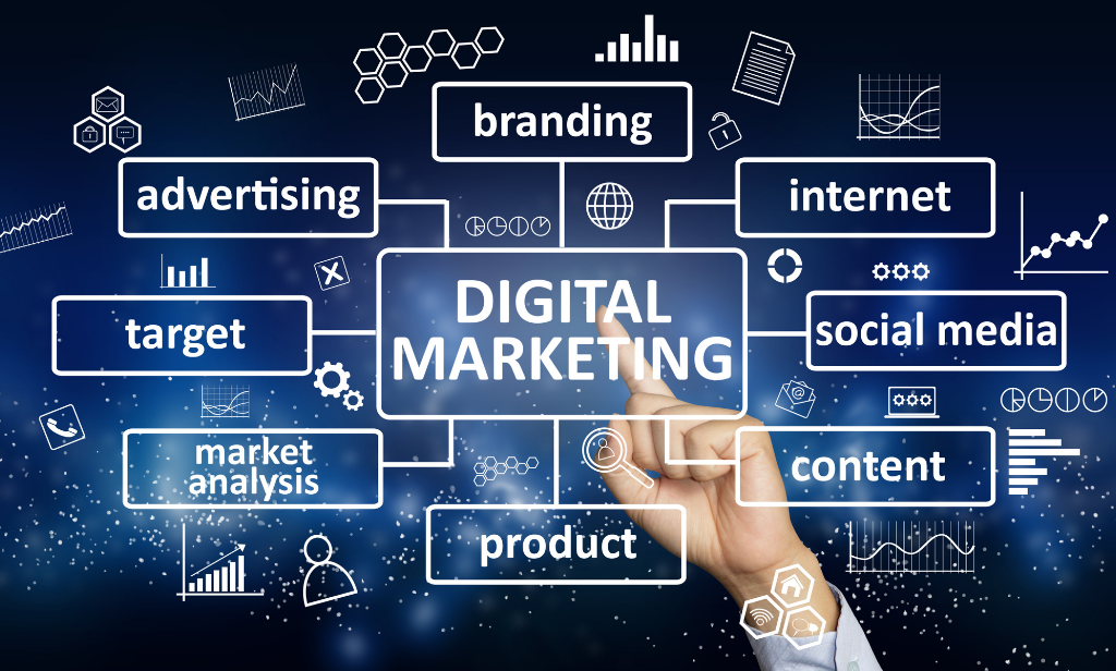 Digital Marketing Agency in Faridabad