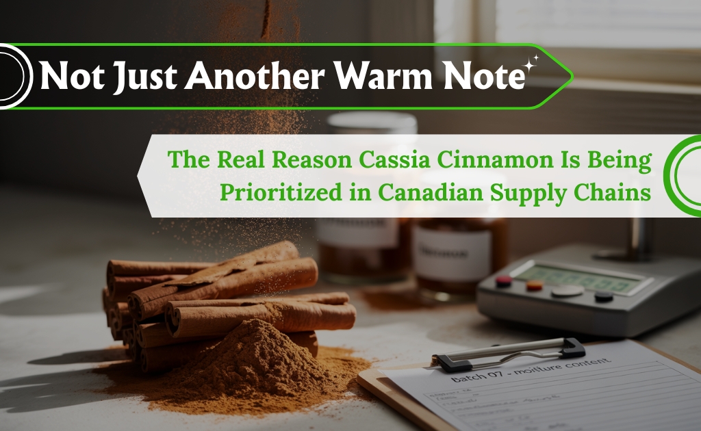 Cassia cinnamon stick on the pile of cinnamon powder in the background