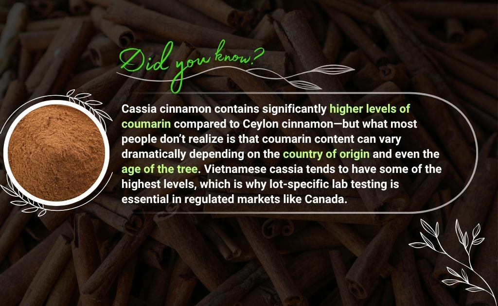 Image showing cassia cinnamon powder in a bowl with the interesting facts regarding it