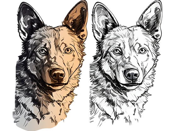Vector Conversion Service