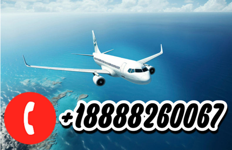 american airlines baggage allowance