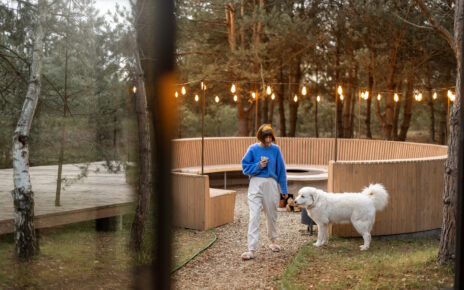 Dog boarding Advance NC