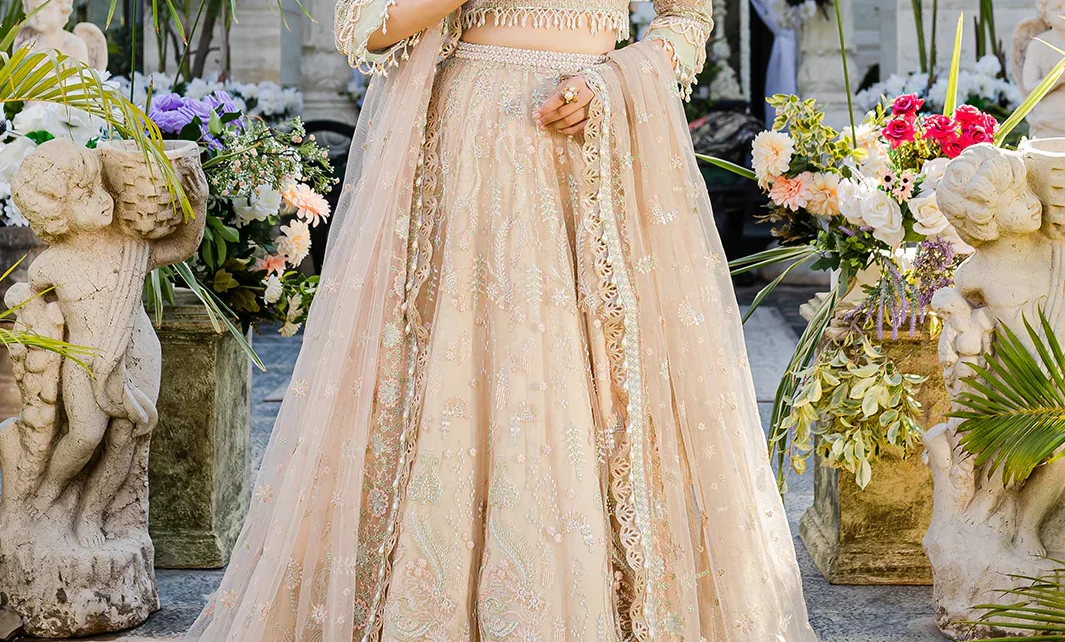 Ready-to-Wear Party Dresses from Women Clothing Brands in Pakistan at Izel Apparel