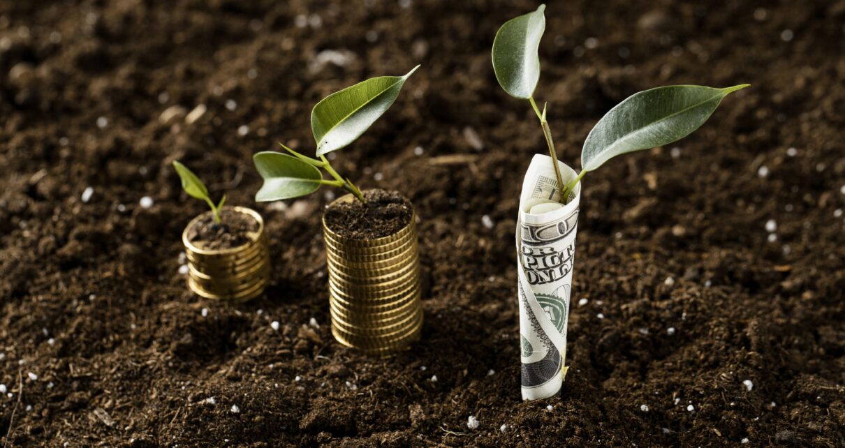 Investing in Managed Farmland