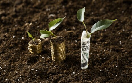 Investing in Managed Farmland