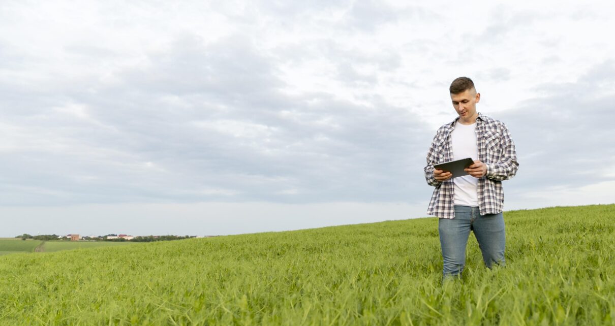 managed farmland