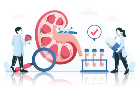 Kidney Function Test
