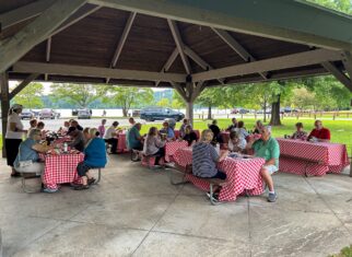 Individual Bus Tours 2026