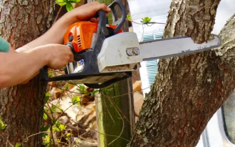Tree Removal Werribee