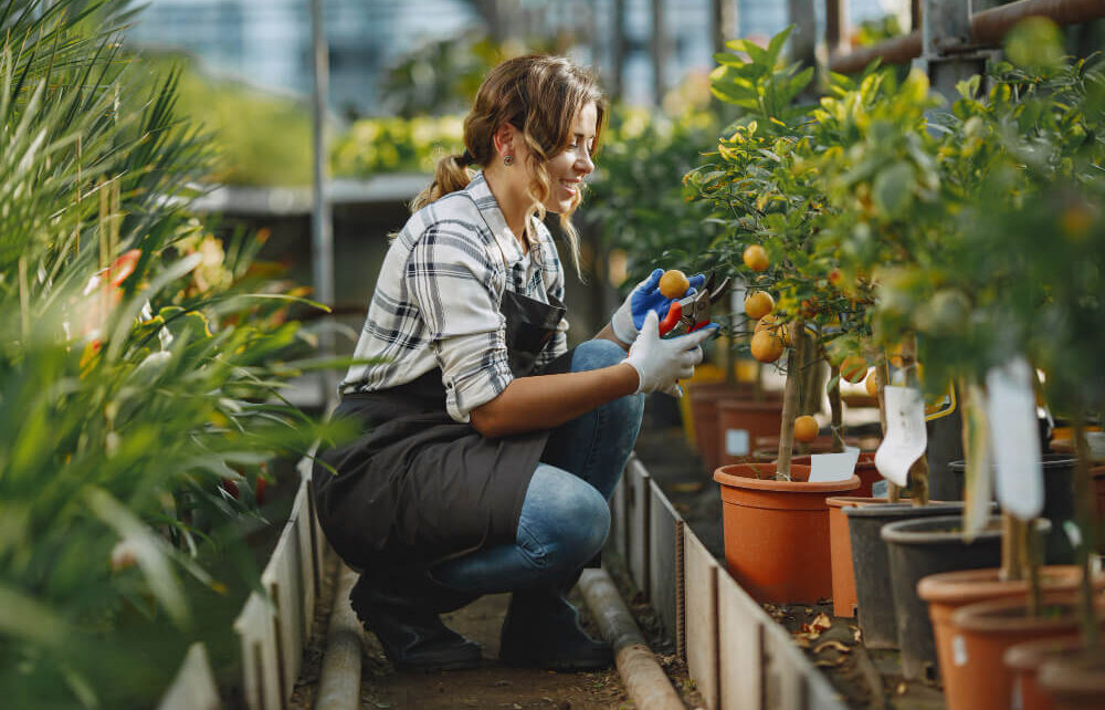 Hydroponic Additives