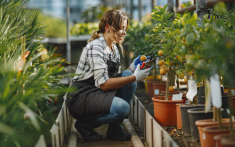 Hydroponic Additives