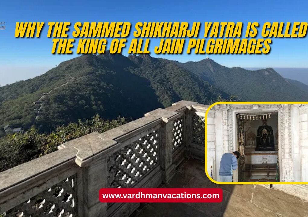 Why the Sammed Shikharji Yatra is Called the King of All Jain Pilgrimages