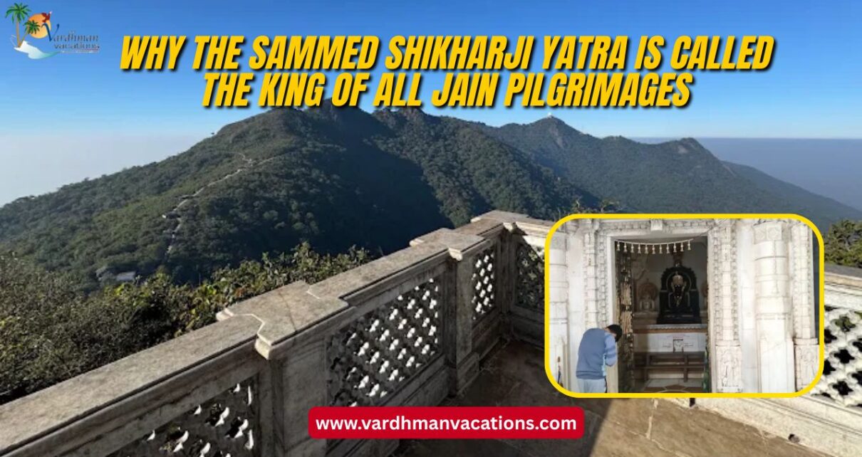 Why the Sammed Shikharji Yatra is Called the King of All Jain Pilgrimages