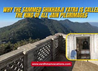 Why the Sammed Shikharji Yatra is Called the King of All Jain Pilgrimages